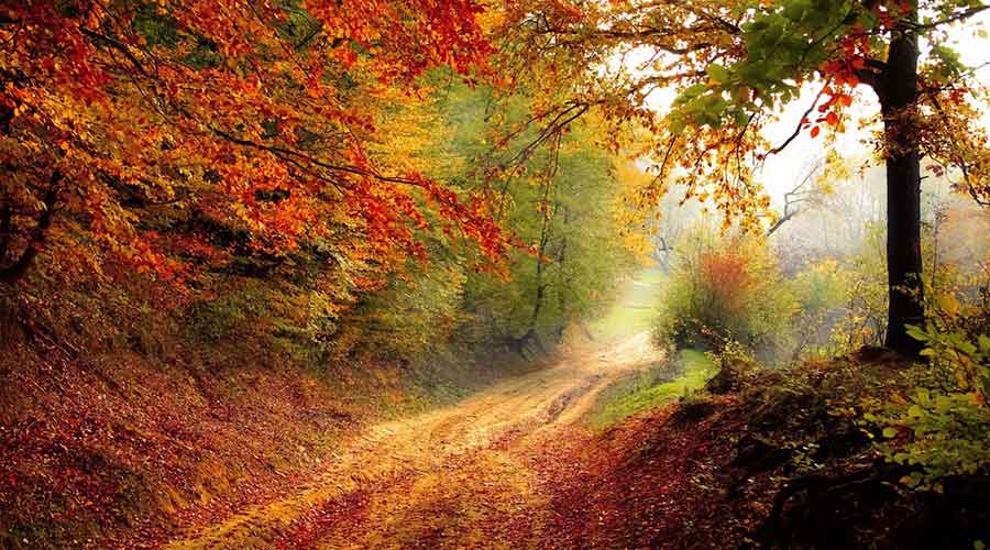 Beautiful of Nature