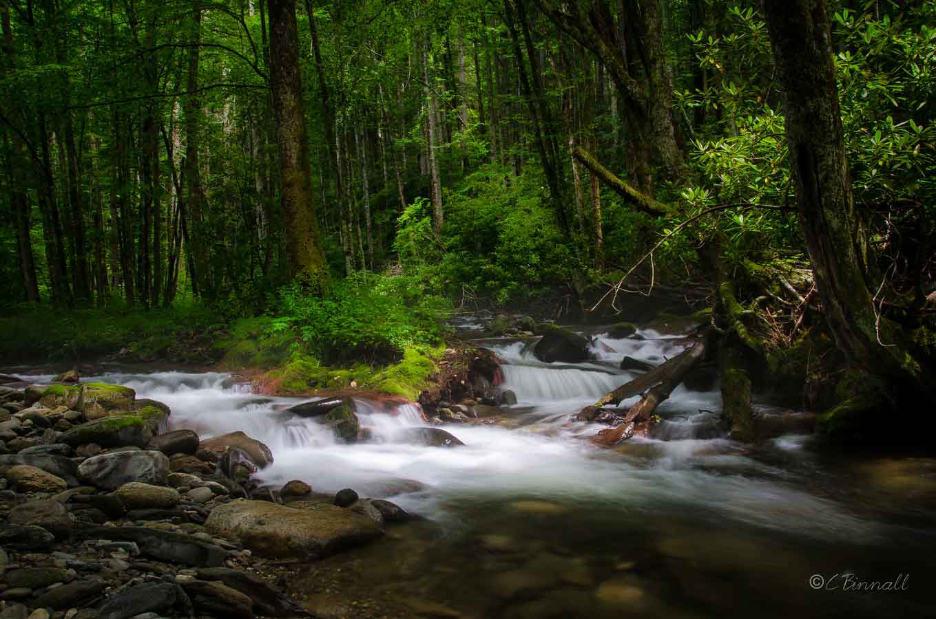 Nature is beautiful