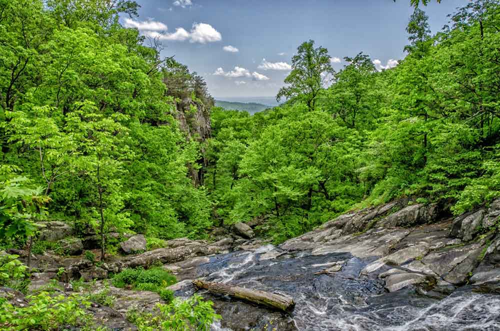 Nature is beautiful